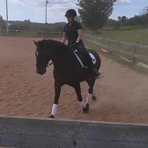 Meet your Posher, Alison